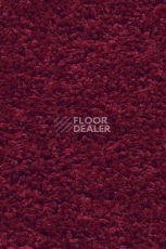 Ковролин AW Devotion 10 фото 1 | FLOORDEALER